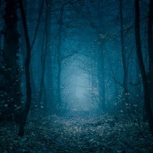 Haunted Forest Walk